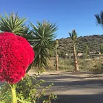 ホテル Arco Del Sol 2*