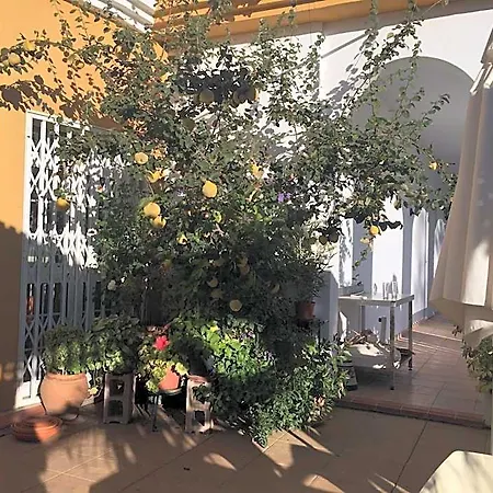 Arco Del Sol